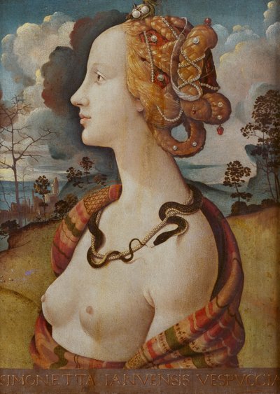 Porträt einer Frau, genannt Simonetta Vespucci von Piero di Cosimo